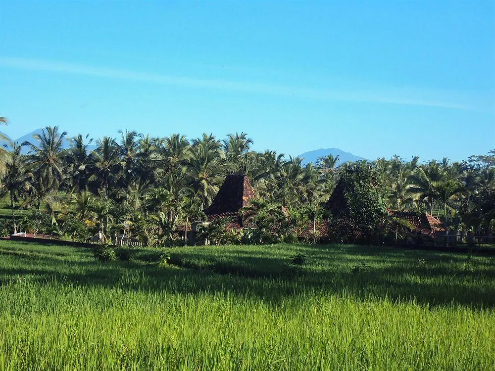 Ubud Syailendra Villas