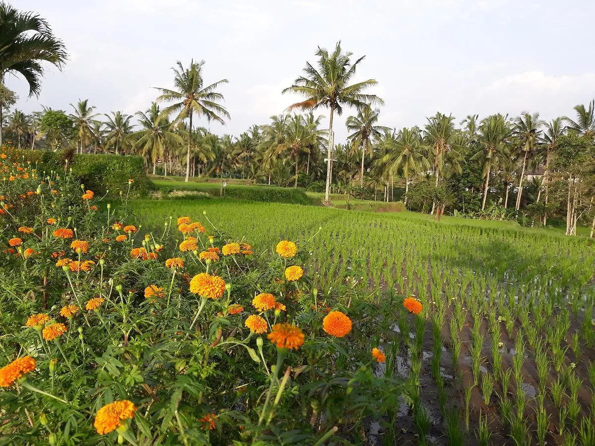 Ubud Syailendra Villas